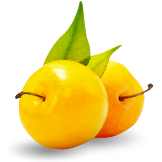 sabor agua ciruela amarilla