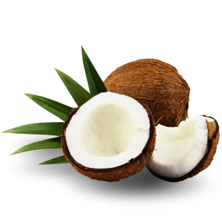 sabor agua coconatural