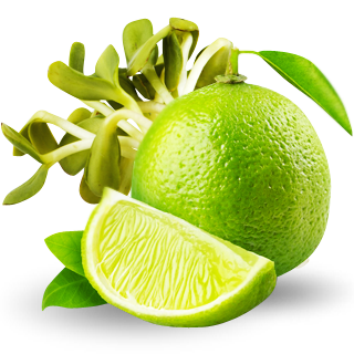 sabor agua splenda alfalfa con limon