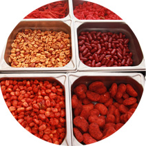 Toppings GARRAFÓN 3